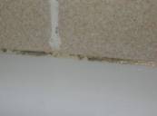ways to clean mold.